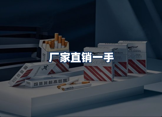 专业团队办公环境